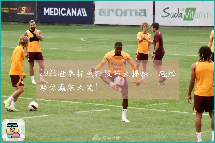 2026世界杯竞猜技巧大揭秘，轻松助你赢取大奖！