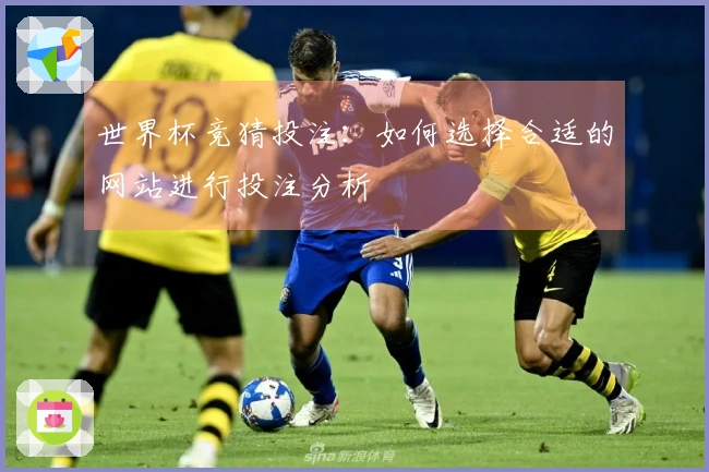 世界杯竞猜投注：如何选择合适的网站进行投注分析