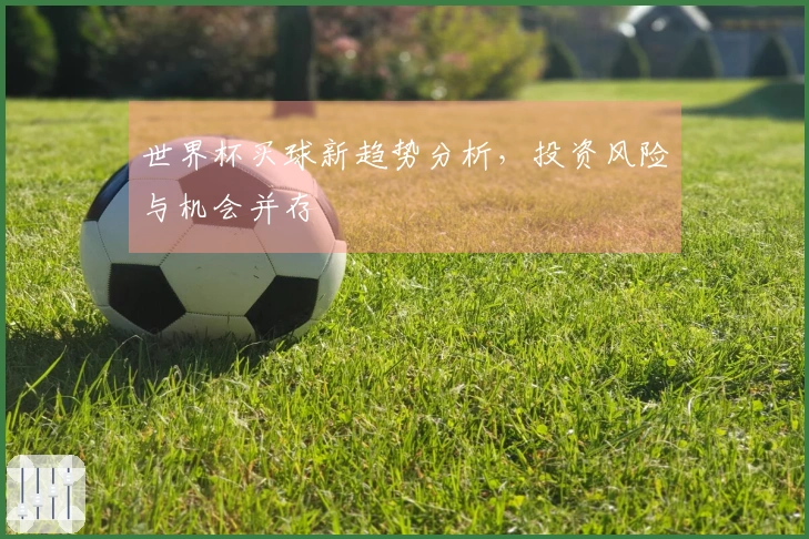 世界杯买球新趋势分析，投资风险与机会并存