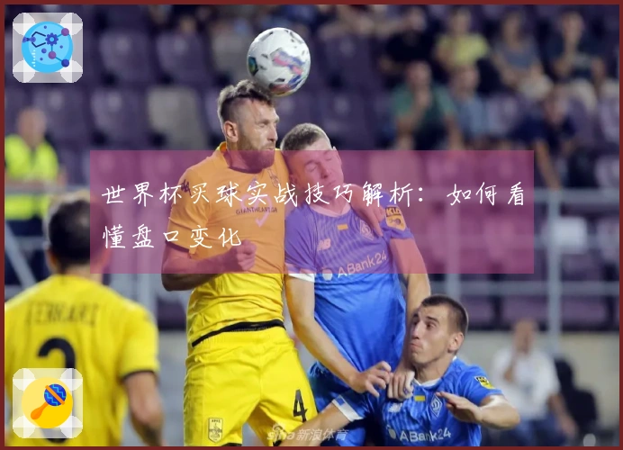 世界杯买球实战技巧解析：如何看懂盘口变化