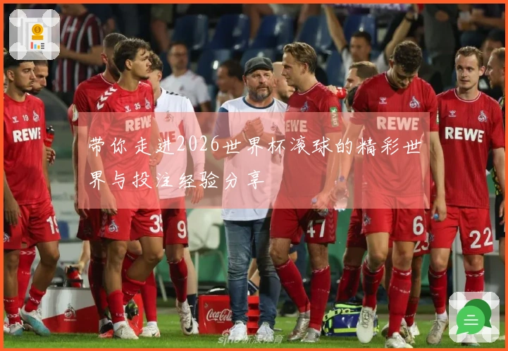 带你走进2026世界杯滚球的精彩世界与投注经验分享