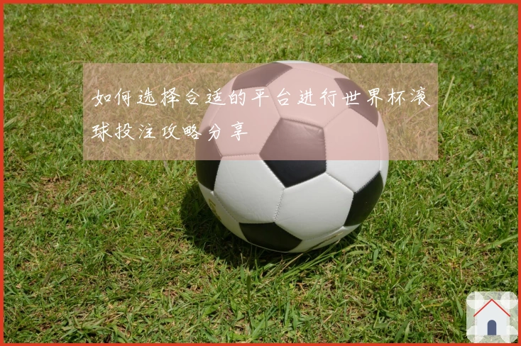 如何选择合适的平台进行世界杯滚球投注攻略分享