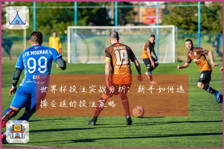 世界杯投注实战分析：新手如何选择合适的投注策略