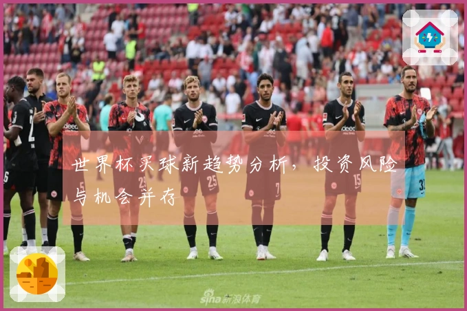 世界杯买球新趋势分析，投资风险与机会并存