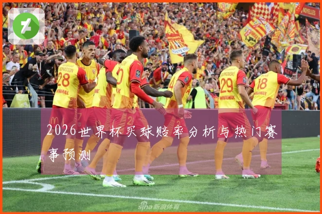 2026世界杯买球赔率分析与热门赛事预测