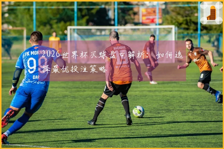 2026世界杯买球盘口解析：如何选择最优投注策略
