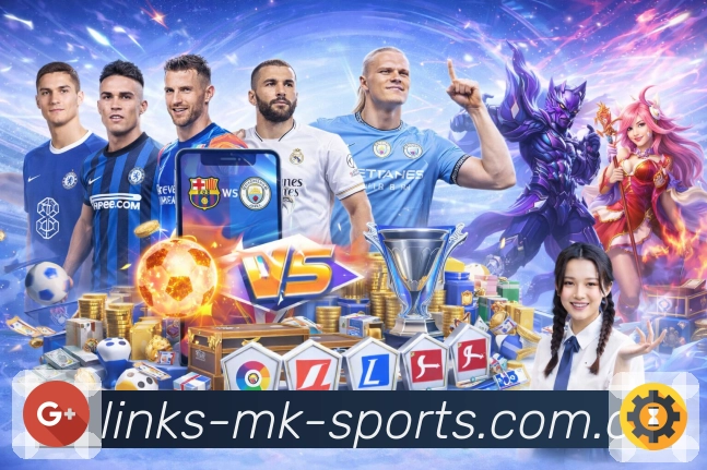 MK体育信息组织